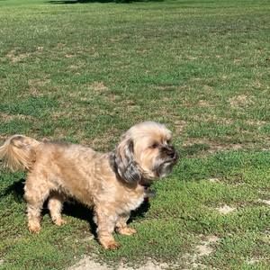 Meet your Posher, May